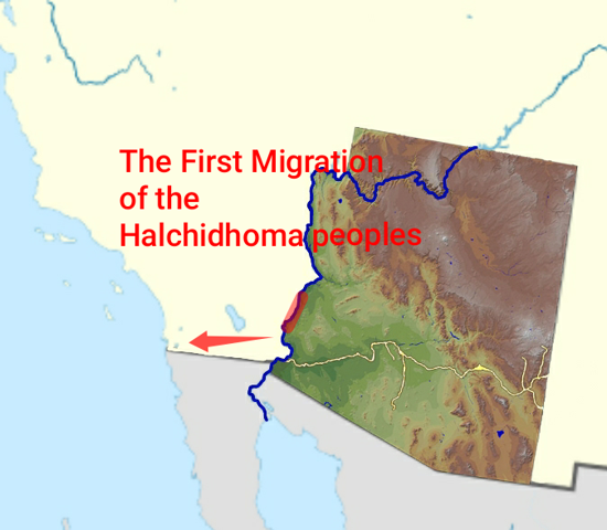 1st migration